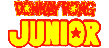Donkey Kong Jr.