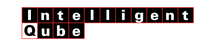 Intelligent Qube
