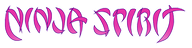 Ninja Spirit